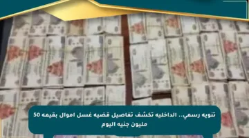 تنويه رسمي.. الداخلية تكشف تفاصيل قضية غسل أموال بقيمة 50 مليون جنيه اليوم